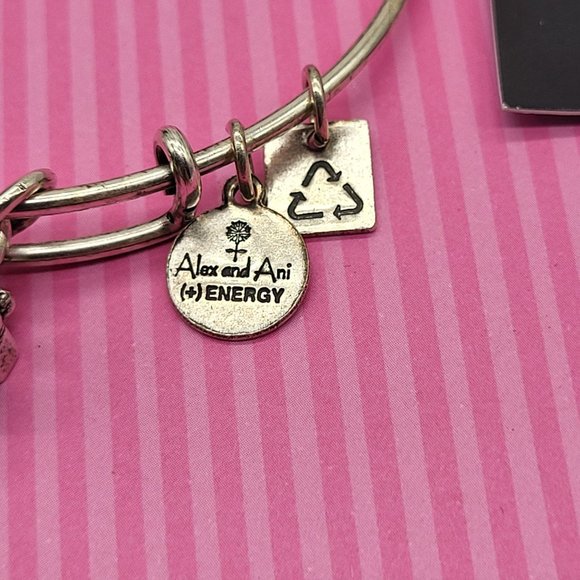 Alex and Ani Energy Gift Box Charm Bracelet Silver Tone Wire Charity By Design - Picture 3 of 9